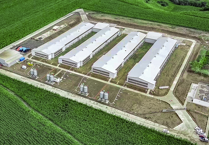 正大榆樹(shù)33萬(wàn)肉雞場(chǎng)