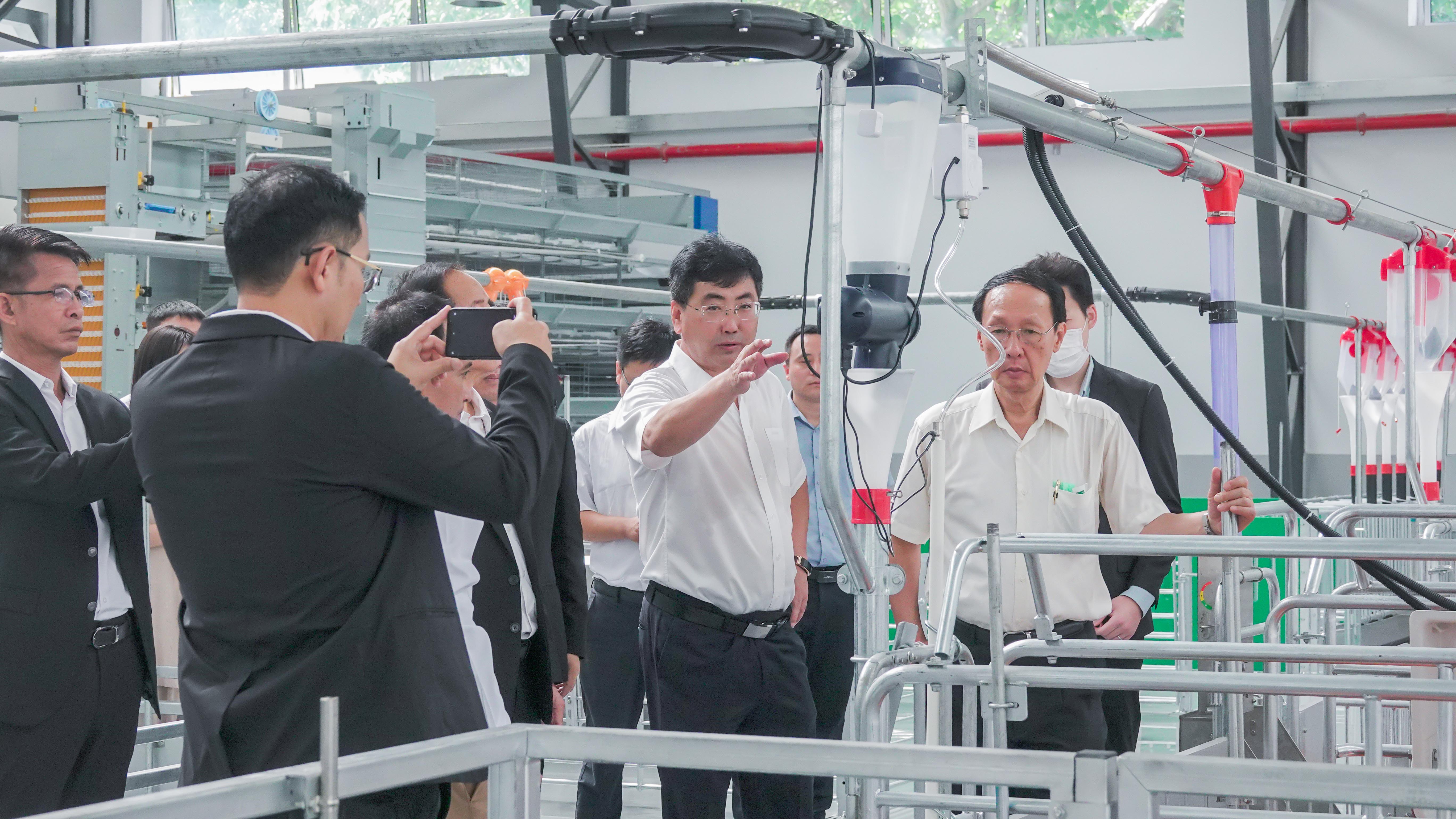 1694653079210941.jpg 2.jpg