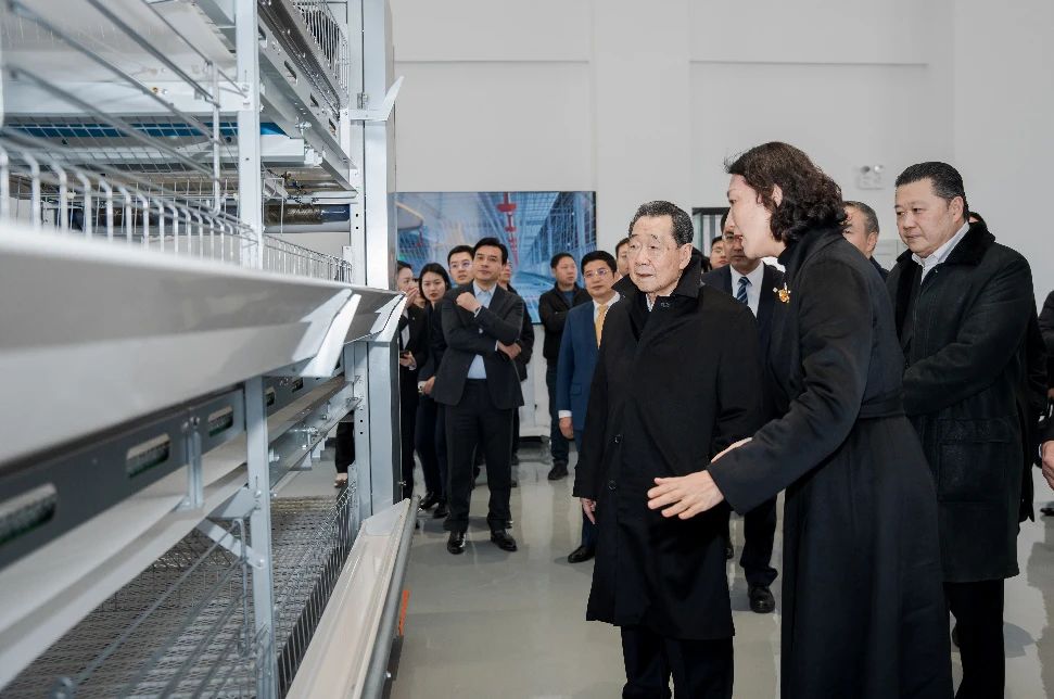 1719194240492283.jpg 謝國(guó)民集團(tuán)資深董事長(zhǎng)(右三)視察正大谷瑞機(jī)電有限公司.jpg